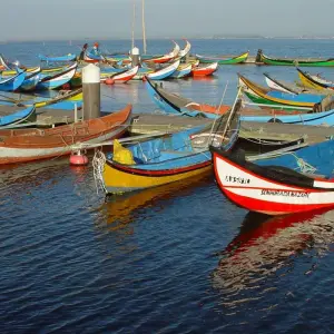 Explore Porto Coastal Cycling for 8 days with Exodus Adventure Travels and discover unforgettable experiences - Photo 8