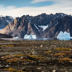 Explore West Greenland Ice Odyssey: Glaciers and Icebergs, Operated by Quark for 10 days with Exodus Adventure Travels and discover unforgettable experiences - Photo 2