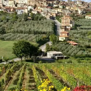 Explore A Taste of Tuscany Self-Guided Walking for 8 days with Exodus Adventure Travels and discover unforgettable experiences - Photo 10