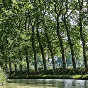Explore Canal du midi Cycling : from Toulouse to Sete for 7 days with Exodus Adventure Travels and discover unforgettable experiences - Photo 4