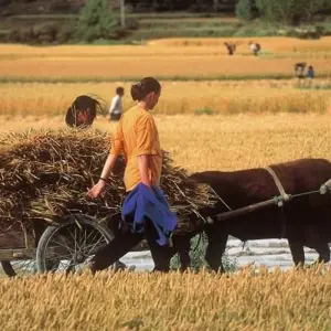 Explore Cycle Indochina & Angkor for 14 days with Exodus Adventure Travels and discover unforgettable experiences - Photo 7