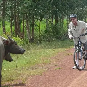 Explore Cycle Indochina & Angkor for 14 days with Exodus Adventure Travels and discover unforgettable experiences - Photo 8