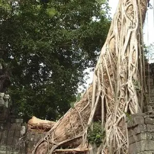 Explore Cycle Indochina & Angkor for 14 days with Exodus Adventure Travels and discover unforgettable experiences - Photo 10