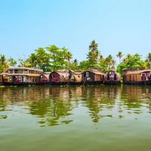 Explore Highlights of Kerala for 8 days with Exodus Adventure Travels and discover unforgettable experiences - Photo 5