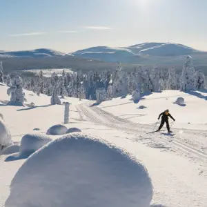 Explore Cross-Country Skiing in Lapland for 8 days with Exodus Adventure Travels and discover unforgettable experiences - Photo 3