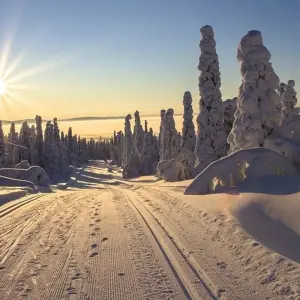 Explore Arctic Circle Aurora Adventure for 8 days with Exodus Adventure Travels and discover unforgettable experiences - Photo 3