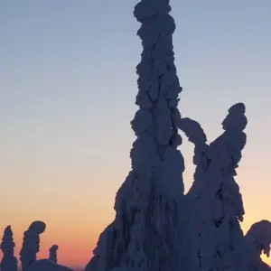 Explore Arctic Circle Aurora Adventure for 8 days with Exodus Adventure Travels and discover unforgettable experiences - Photo 4