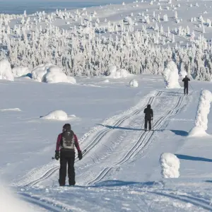 Explore Cross-Country Skiing in Lapland for 8 days with Exodus Adventure Travels and discover unforgettable experiences - Photo 4