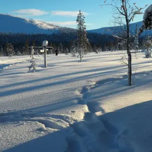 Explore Cross-Country Skiing in Lapland for 8 days with Exodus Adventure Travels and discover unforgettable experiences - Photo 5