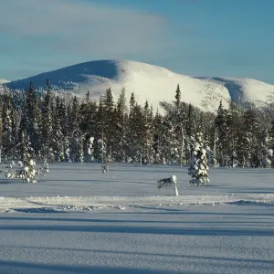 Explore Cross-Country Skiing in Lapland for 8 days with Exodus Adventure Travels and discover unforgettable experiences - Photo 6