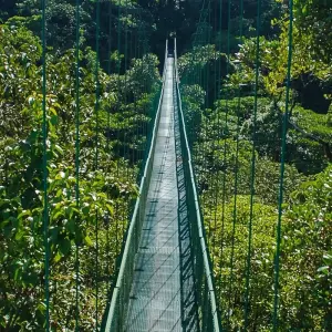 Explore Costa Rica Family Escape for 8 days with Exodus Adventure Travels and discover unforgettable experiences - Photo 10
