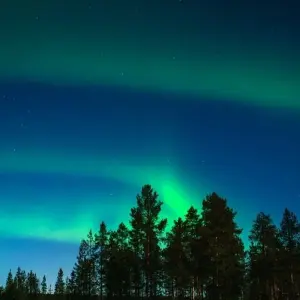 Explore Arctic Circle Aurora Adventure for 8 days with Exodus Adventure Travels and discover unforgettable experiences - Photo 7
