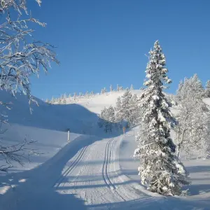Explore Cross-Country Skiing in Lapland for 8 days with Exodus Adventure Travels and discover unforgettable experiences - Photo 7