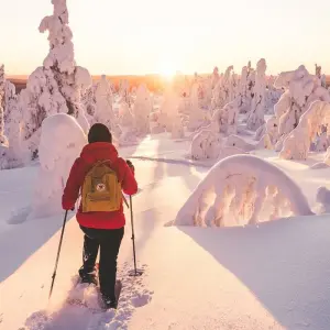 Explore Cross-Country Skiing in Lapland for 8 days with Exodus Adventure Travels and discover unforgettable experiences - Photo 9