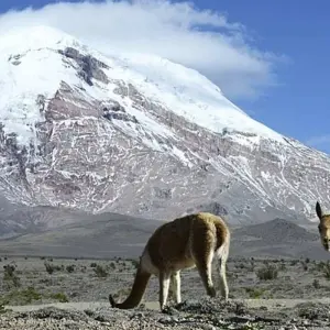 Explore Highlights of Ecuador: Andes to Amazon for 14 days with Exodus Adventure Travels and discover unforgettable experiences - Photo 5