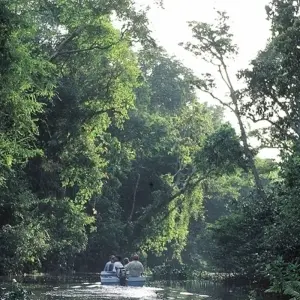 Explore Borneo Wildlife Discoverer for 15 days with Exodus Adventure Travels and discover unforgettable experiences - Photo 3