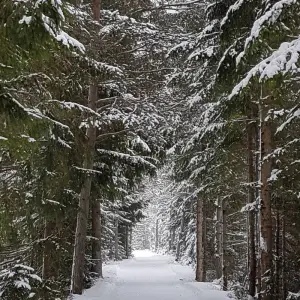 Explore Cross-Country Skiing at Leutasch and Seefeld for 8 days with Exodus Adventure Travels and discover unforgettable experiences - Photo 10