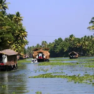 Explore Discover South India - Premium Adventure for 14 days with Exodus Adventure Travels and discover unforgettable experiences - Photo 11