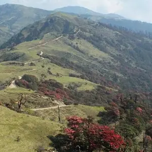 Explore Darjeeling, Sikkim & the Singalila Ridge for 15 days with Exodus Adventure Travels and discover unforgettable experiences - Photo 3