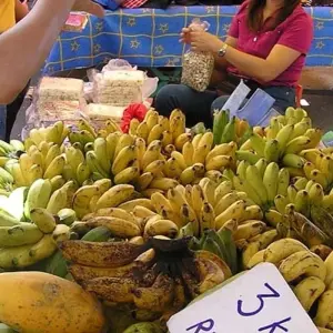 Explore Borneo Family Wildlife Adventure for 12 days with Exodus Adventure Travels and discover unforgettable experiences - Photo 9