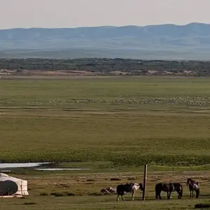 Explore Cycling in Mongolia for 15 days with Exodus Adventure Travels and discover unforgettable experiences - Photo 8