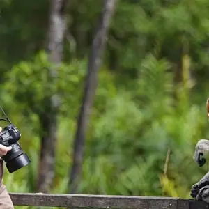 Explore Borneo Family Wildlife Adventure for 12 days with Exodus Adventure Travels and discover unforgettable experiences - Photo 11