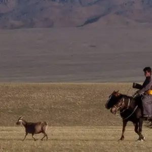 Explore Cycling in Mongolia for 15 days with Exodus Adventure Travels and discover unforgettable experiences - Photo 9