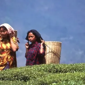 Explore Darjeeling, Sikkim & the Singalila Ridge for 15 days with Exodus Adventure Travels and discover unforgettable experiences - Photo 6