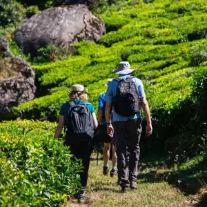 Explore Spice Trails of Kerala for 15 days with Exodus Adventure Travels and discover unforgettable experiences - Photo 3