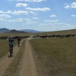 Explore Cycling in Mongolia for 15 days with Exodus Adventure Travels and discover unforgettable experiences - Photo 11