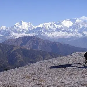 Explore Darjeeling, Sikkim & the Singalila Ridge for 15 days with Exodus Adventure Travels and discover unforgettable experiences - Photo 11