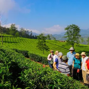 Explore Spice Trails of Kerala for 15 days with Exodus Adventure Travels and discover unforgettable experiences - Photo 7