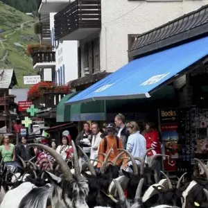 Explore Mont Blanc to the Matterhorn for 15 days with Exodus Adventure Travels and discover unforgettable experiences - Photo 4