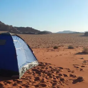 Explore Petra & Wadi Rum Trek for 8 days with Exodus Adventure Travels and discover unforgettable experiences - Photo 2