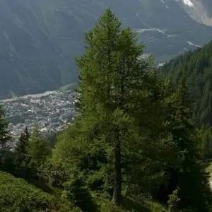 Explore Mont Blanc to the Matterhorn for 15 days with Exodus Adventure Travels and discover unforgettable experiences - Photo 5