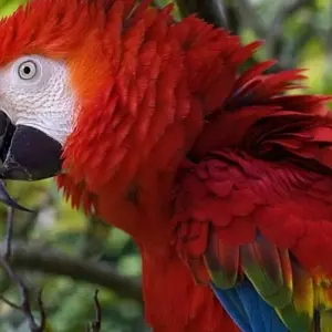 Explore Inca Trail &amp; the Amazon Rainforest for 15 days with Exodus Adventure Travels and discover unforgettable experiences - Photo 10