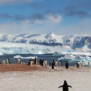 Explore Epic Antarctica: Falklands, South Georgia & Antarctic Circle Crossing via Buenos Aires, Operated by Quark for 23 days with Exodus Adventure Travels and discover unforgettable experiences - Photo 4