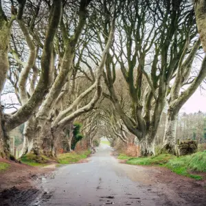 Explore Cape Verde's Northern Islands - Privately Guided for 8 days with Exodus Adventure Travels and discover unforgettable experiences - Photo 7