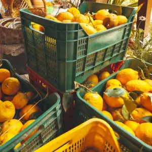 Explore Cape Verde's Northern Islands - Privately Guided for 8 days with Exodus Adventure Travels and discover unforgettable experiences - Photo 10