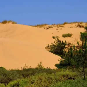 Explore Cycling the Algarve's Rota Vicentina for 8 days with Exodus Adventure Travels and discover unforgettable experiences - Photo 7