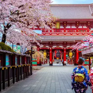 Explore Walk the Nakasendo Trail for 11 days with Exodus Adventure Travels and discover unforgettable experiences - Photo 6