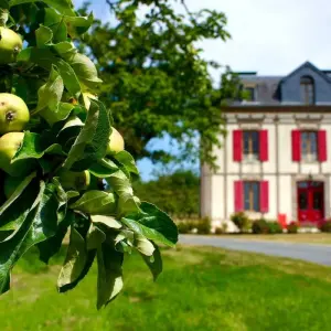 Explore Normandy Walk from Deauville to Bayeux for 8 days with Exodus Adventure Travels and discover unforgettable experiences - Photo 11