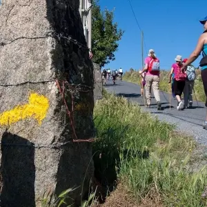 Explore Walking across the Pyrenees on the Camino Frances for 11 days with Exodus Adventure Travels and discover unforgettable experiences - Photo 8