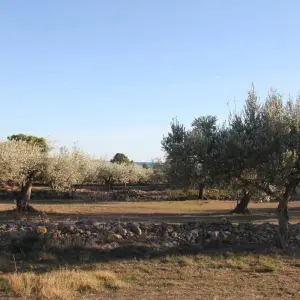 Explore Cycling the Mediterranean Coast in Spain for 8 days with Exodus Adventure Travels and discover unforgettable experiences - Photo 2