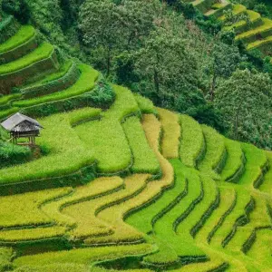 Explore Hidden Vietnam: Sapa & Beyond for 13 days with Exodus Adventure Travels and discover unforgettable experiences - Photo 4