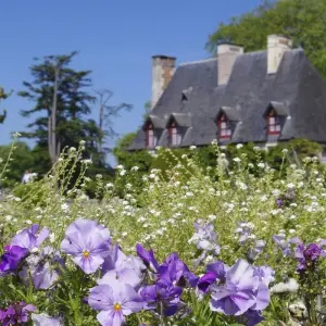 Explore Loire Valley: Walks, Wine &amp; Chateaux for 7 days with Exodus Adventure Travels and discover unforgettable experiences - Photo 7