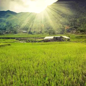 Explore Hidden Vietnam: Sapa & Beyond for 13 days with Exodus Adventure Travels and discover unforgettable experiences - Photo 9