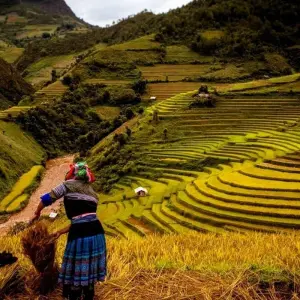 Explore Hidden Vietnam: Sapa & Beyond for 13 days with Exodus Adventure Travels and discover unforgettable experiences - Photo 10