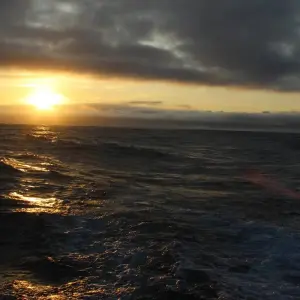 Explore Galapagos Voyage: Pirates & Darwin - Premium Adventure for 9 days with Exodus Adventure Travels and discover unforgettable experiences - Photo 2