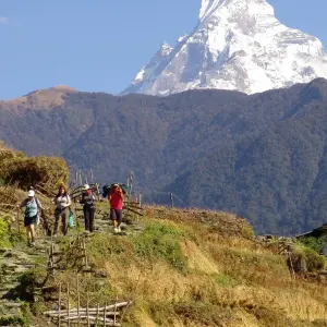Explore Annapurna Trails & Chitwan - Premium Adventure for 13 days with Exodus Adventure Travels and discover unforgettable experiences - Photo 3